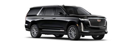 Sport Utility Vehicle